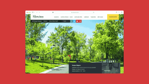 Prof. Dr. Mustafa ÖZKAN - Ortopedi ve Travmatoloji Uzmanı